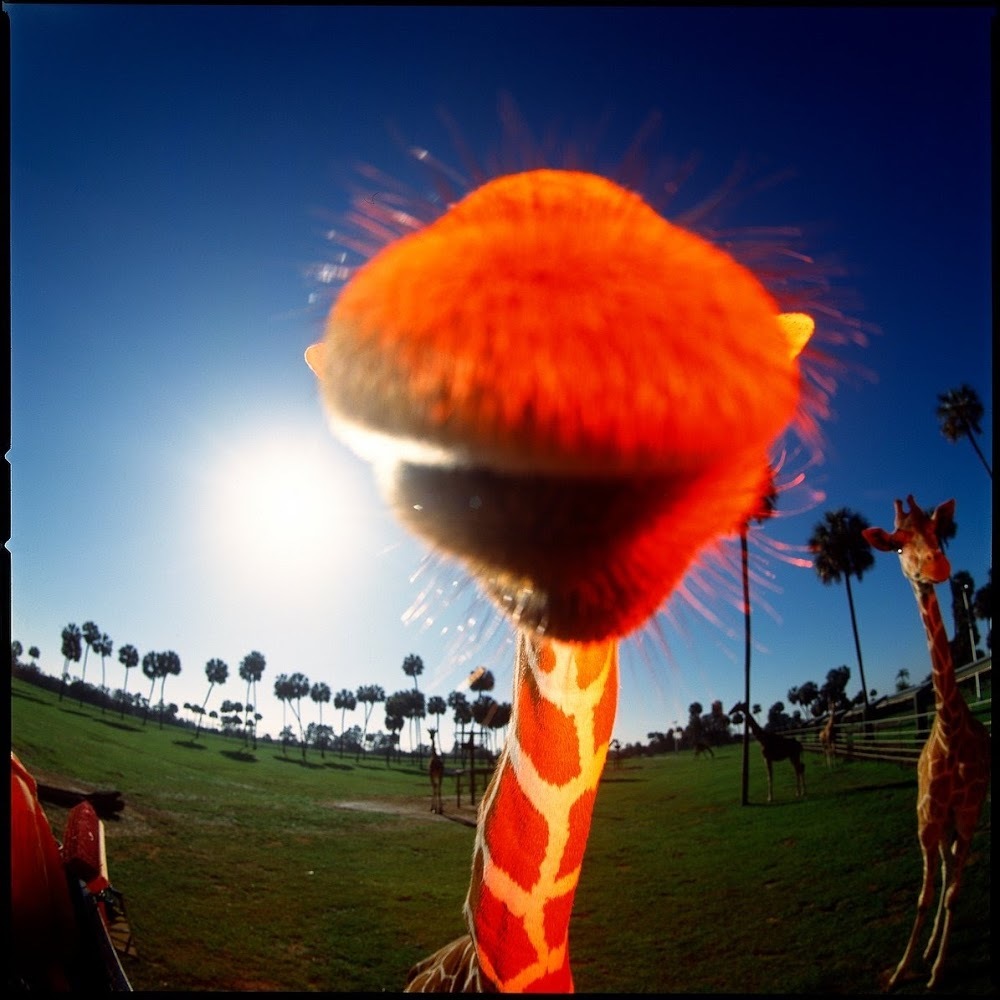 Meet your Posher, Doglips5150